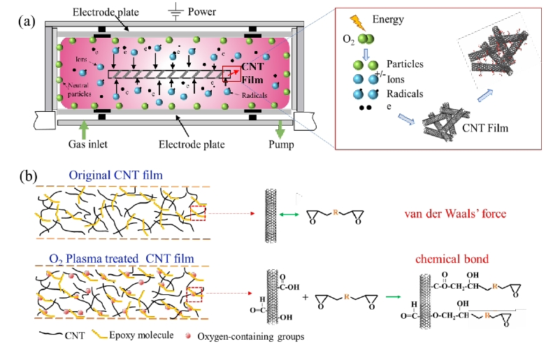 圖 1(a)氧等離子體改性CNTs薄膜機(jī)理示意圖,(b)含氧基團(tuán)增強(qiáng)CNTs和樹脂間界面結(jié)合 機(jī)制原理圖 