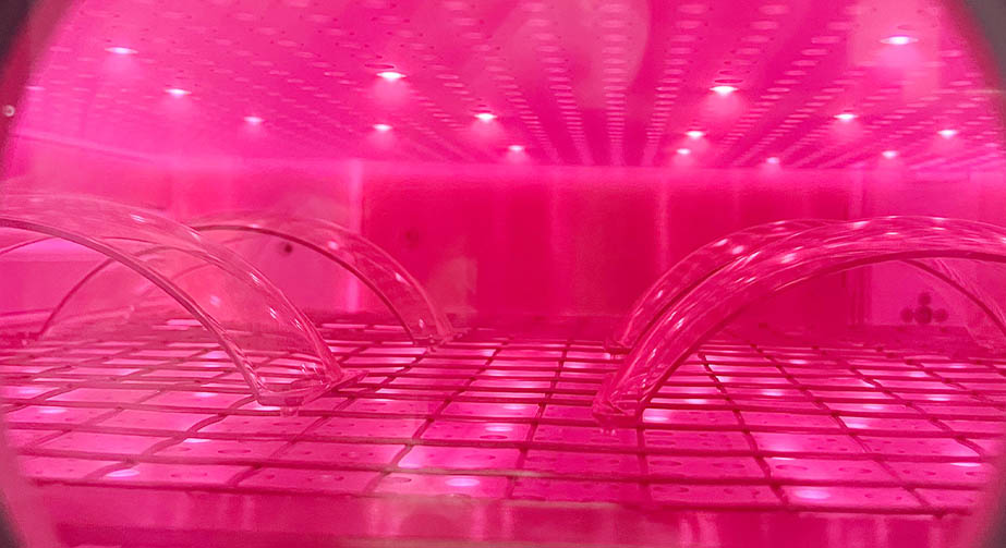 等離子體清洗技術分類、特點