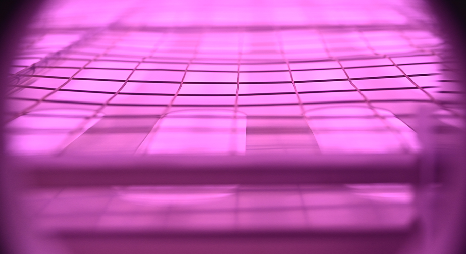 PEEK等離子清洗機改性處理提高親水粘接性